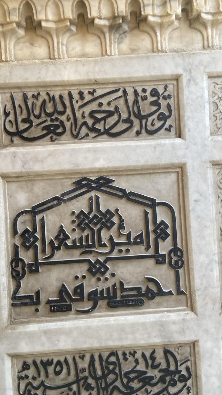 المقبرة الجديدة لأمير الشعراء بمشروع الخالدين (6)