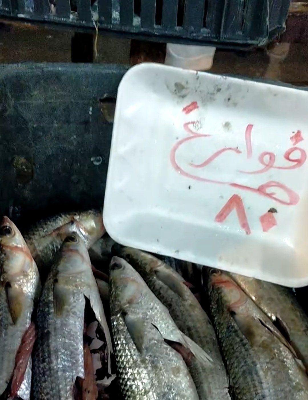 الفوراغ الفوراغ