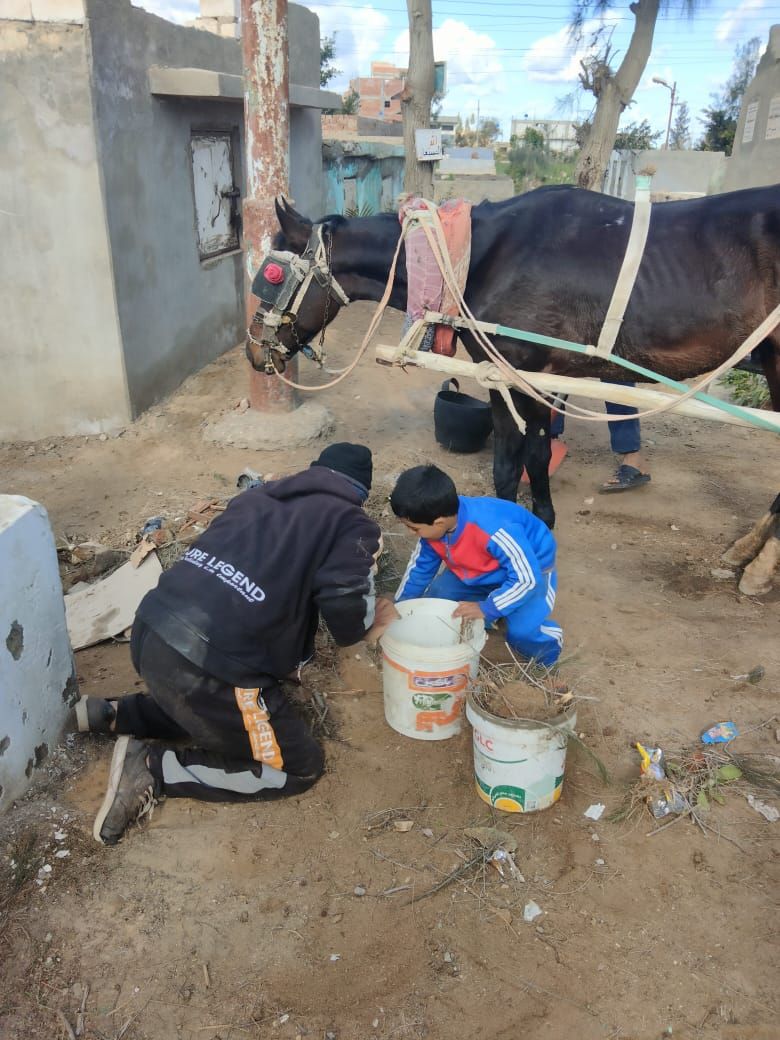 مشاركة الاطفال في تنظيف المقابر مشاركة الاطفال في تنظيف المقابر