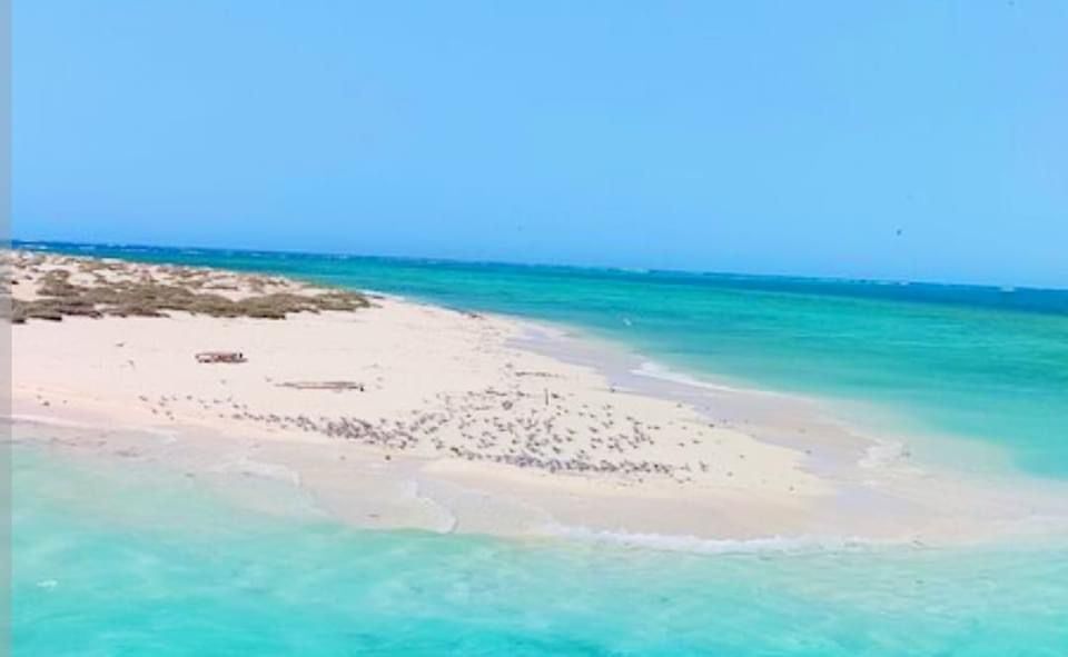 تضم شواطئ رملية مميزة