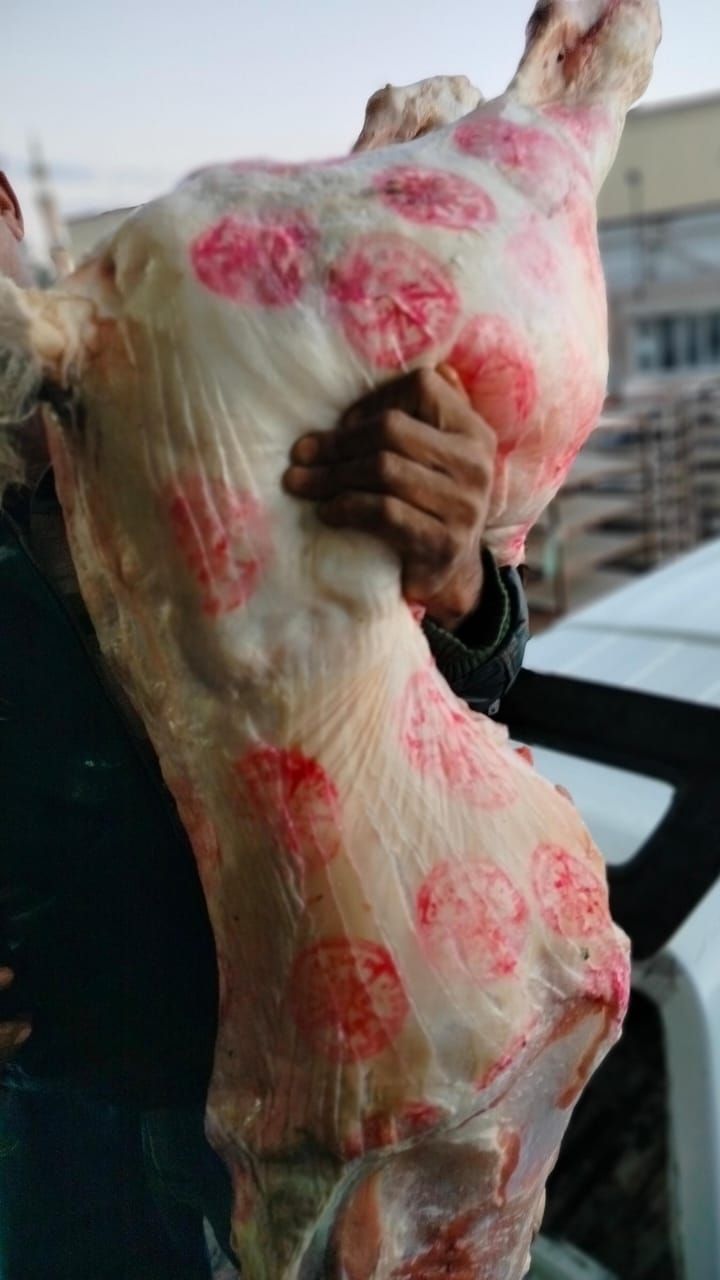 المضبوطات المضبوطات