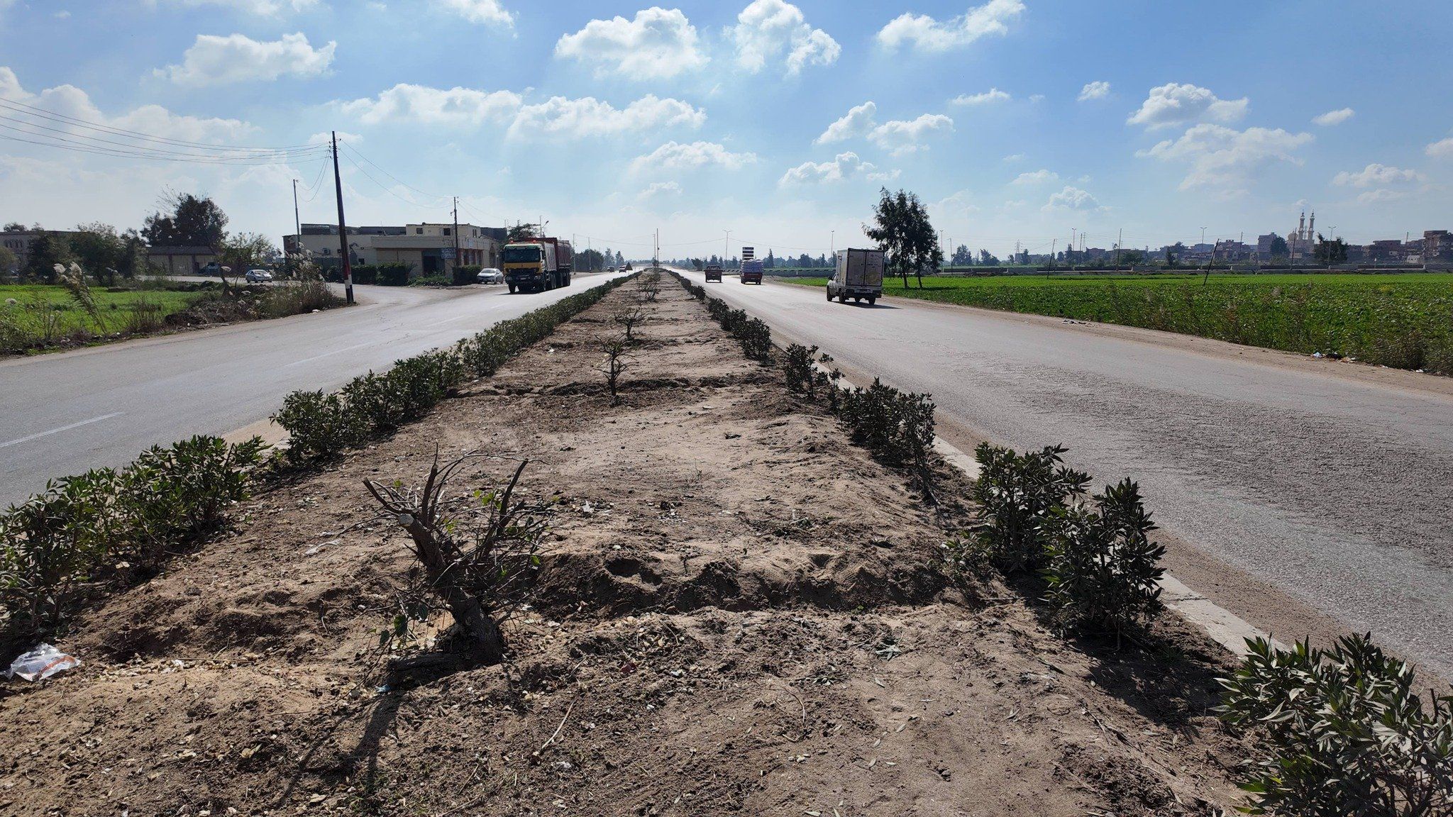 زراعة الاشجار بمدخل 30 يونيو زراعة الاشجار بمدخل 30 يونيو