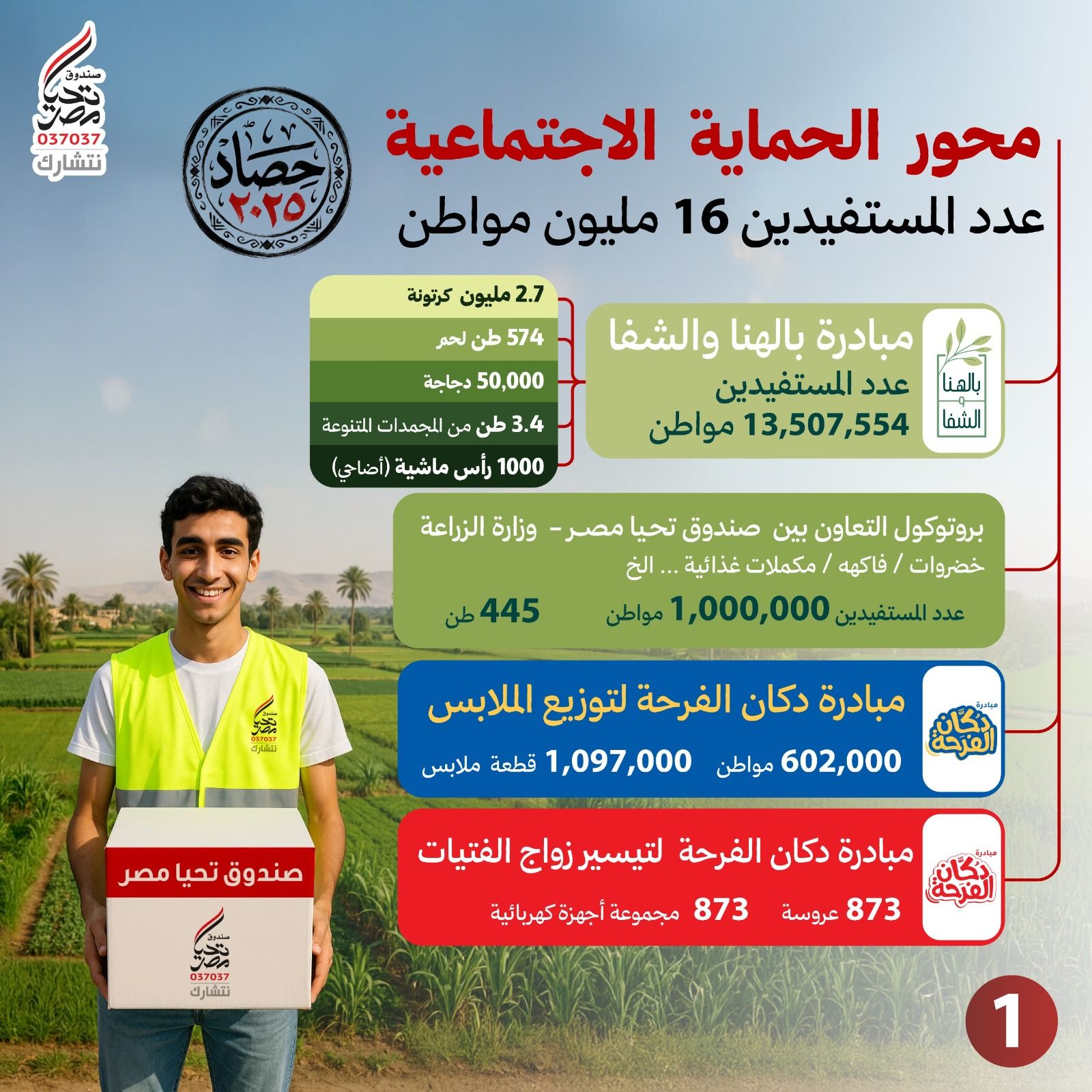 حصاد صندوق تحيا مصر