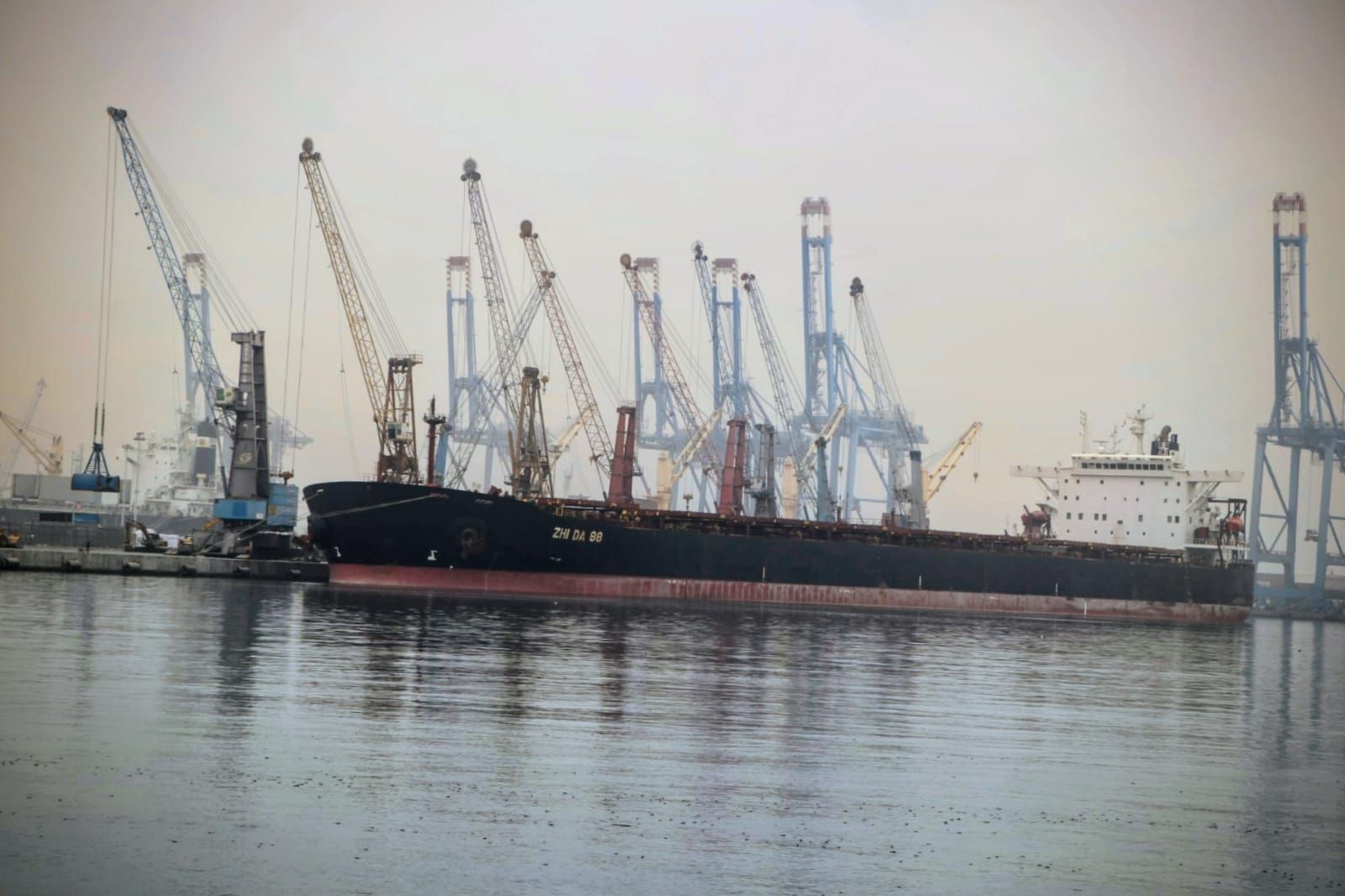 ميناء دمياط يستقبل أكبر حمولة بضائع ميناء دمياط يستقبل أكبر حمولة بضائع