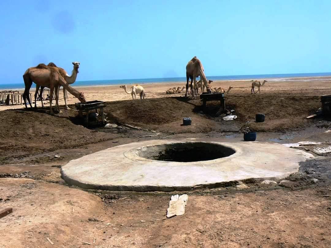 آبار الصحراء الشرقية آبار الصحراء الشرقية