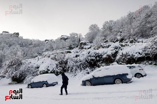 الثلج يكتسى السيارات الثلج يكتسى السيارات