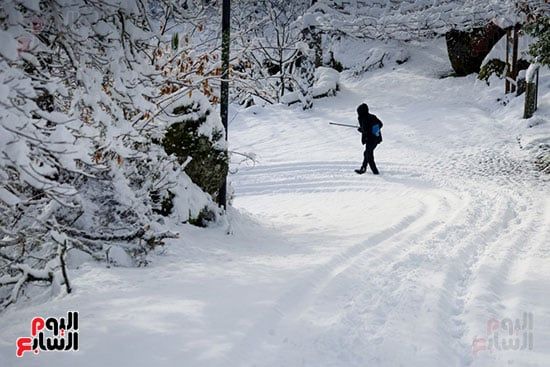موجة شتاء قارص على ؟أوروبا موجة شتاء قارص على ؟أوروبا