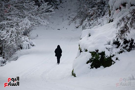 شوارع تكتسى بالثلج شوارع تكتسى بالثلج