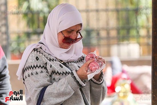 الفانوس البلاستيك الفانوس البلاستيك