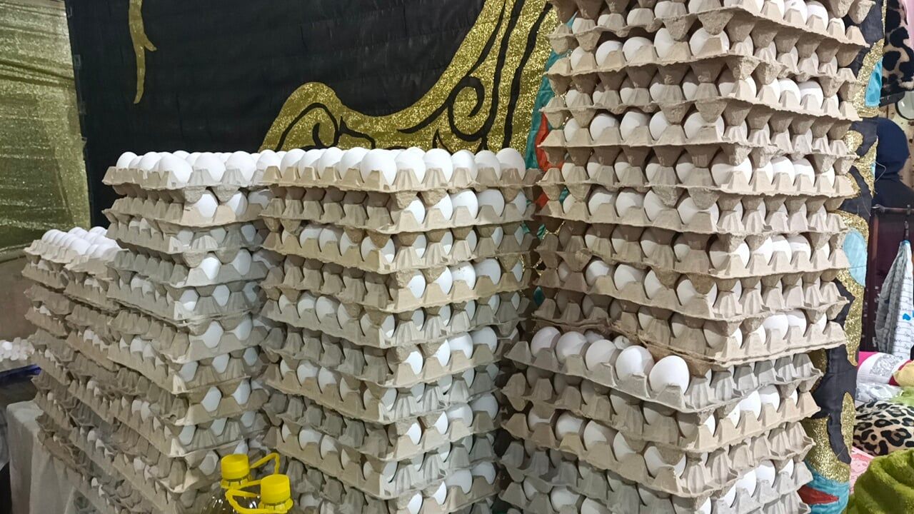 توفير البيض ب 110 جنيه توفير البيض ب 110 جنيه