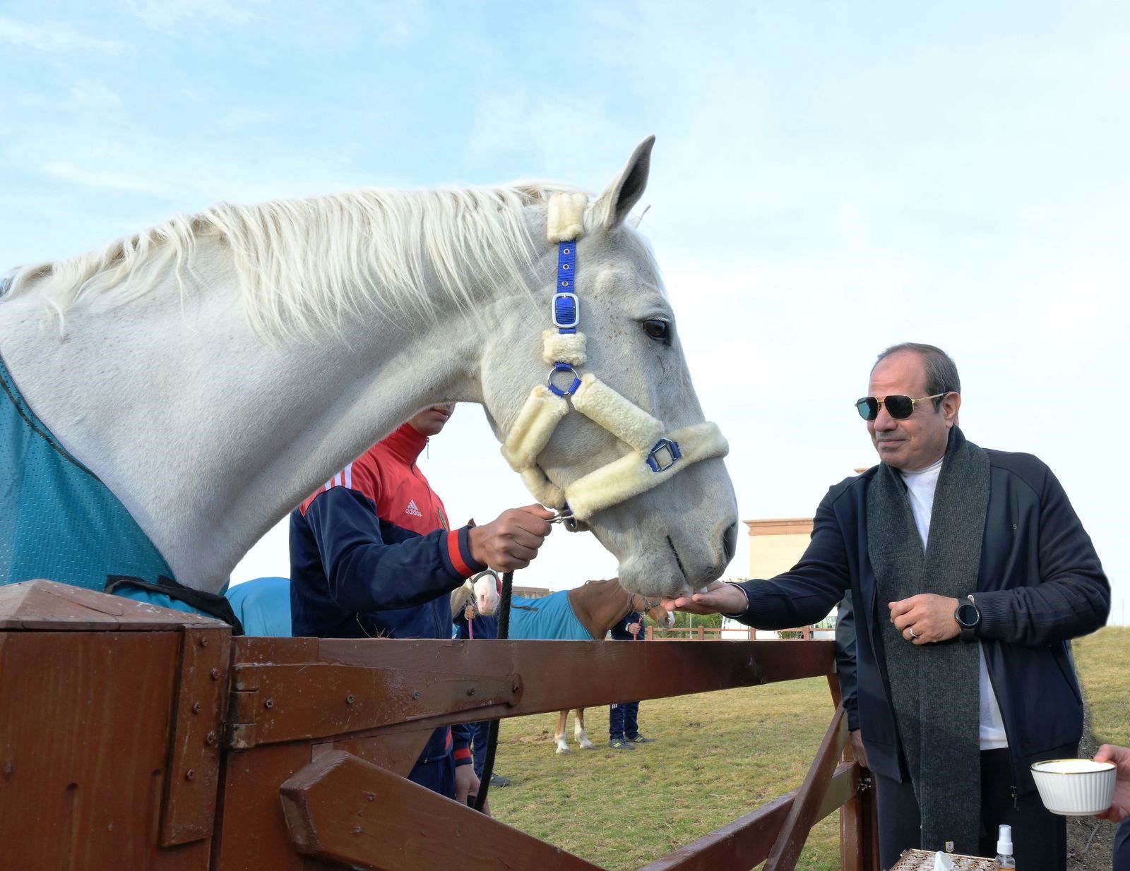 الرئيس السيسى يتابع أنشطة الأكاديمية العسكرية الرئيس السيسى يتابع أنشطة الأكاديمية العسكرية