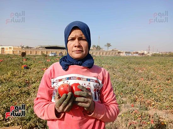 الايادى-العاملة الايادى-العاملة