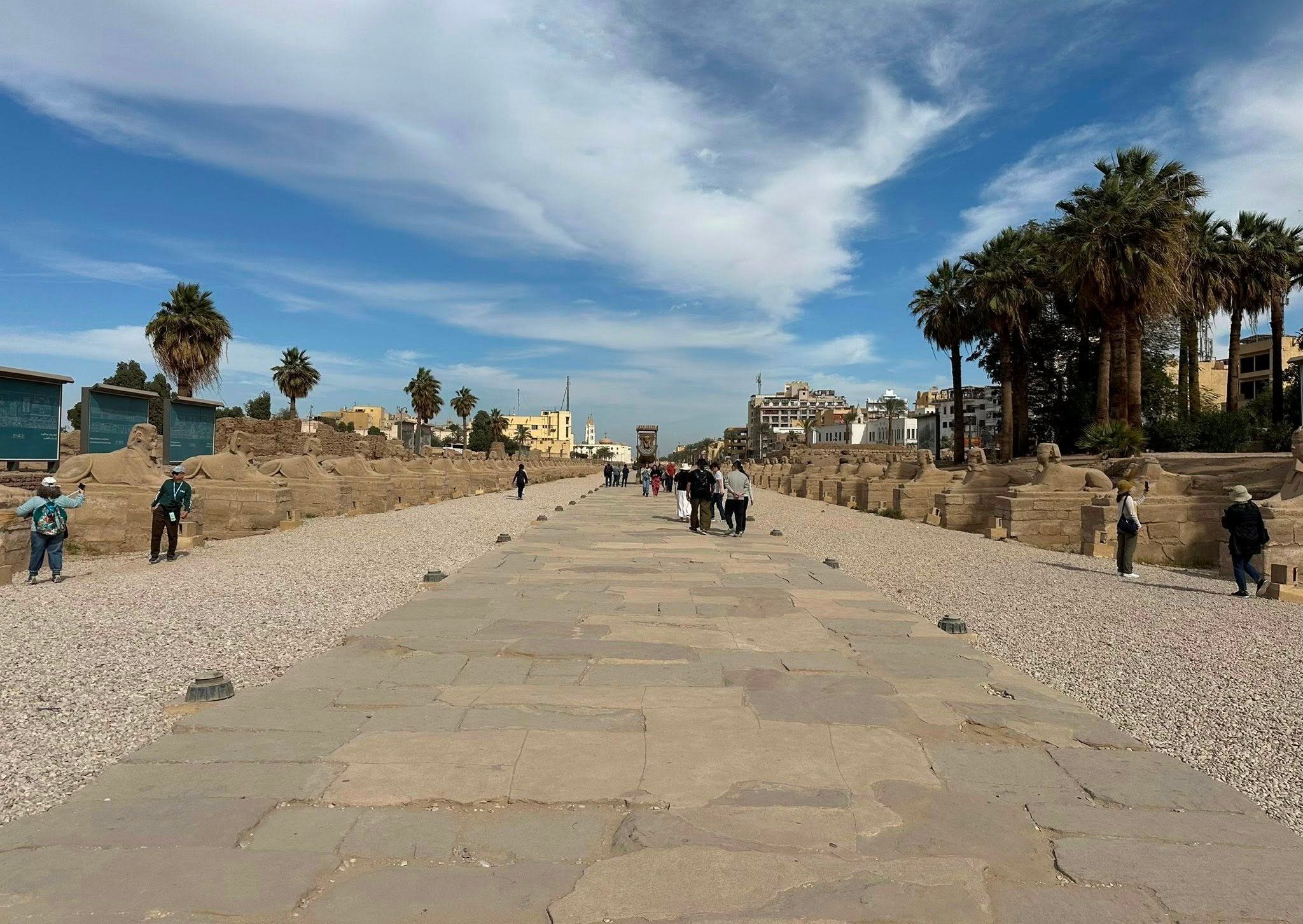 جانب من زيارات السائحين فى طريق الكباش الفرعونى جانب من زيارات السائحين فى طريق الكباش الفرعونى