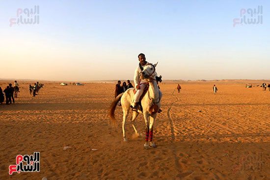 مرماح الخيول بالكوبانية (8) مرماح الخيول بالكوبانية (8)