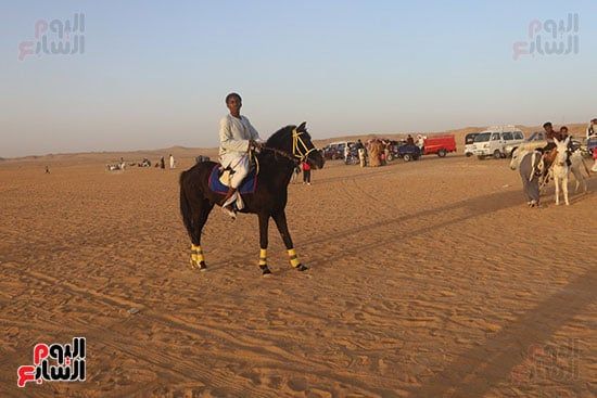 مرماح الخيول بالكوبانية (4) مرماح الخيول بالكوبانية (4)