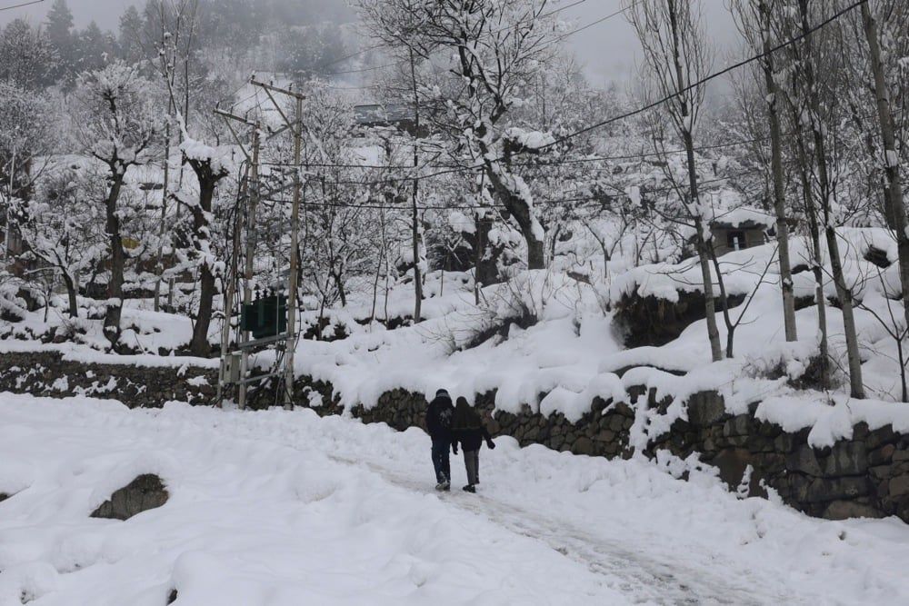 كشمير (14) كشمير (14)