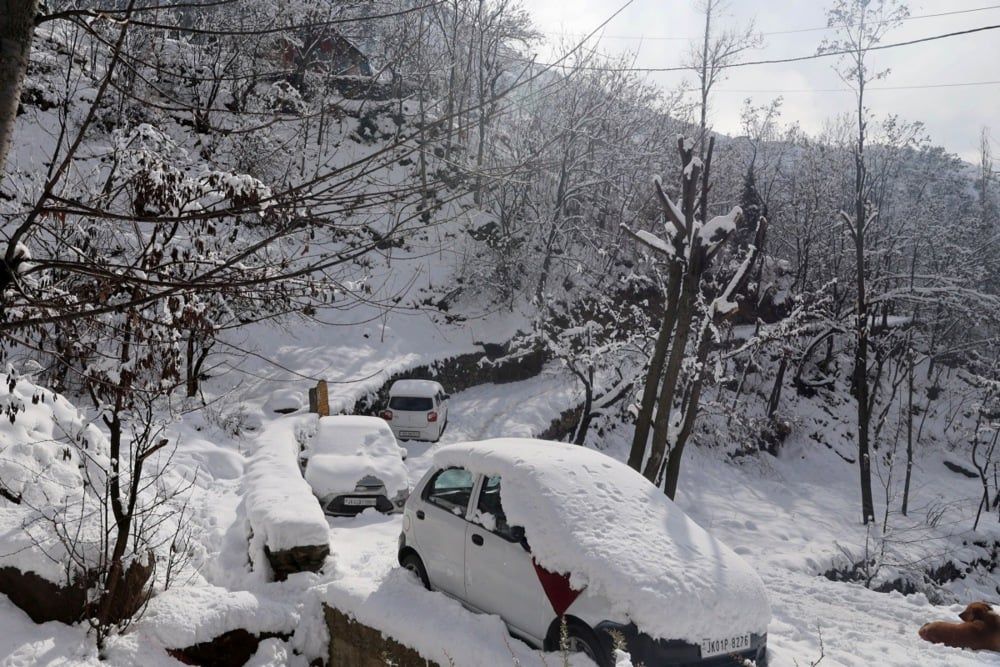 كشمير (15) كشمير (15)