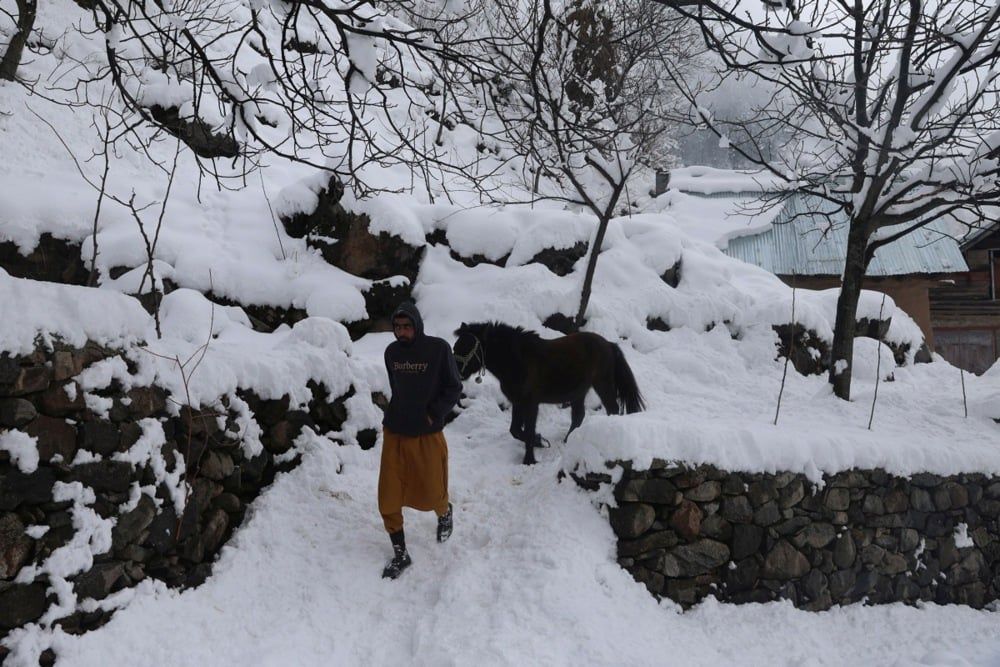 كشمير (4) كشمير (4)