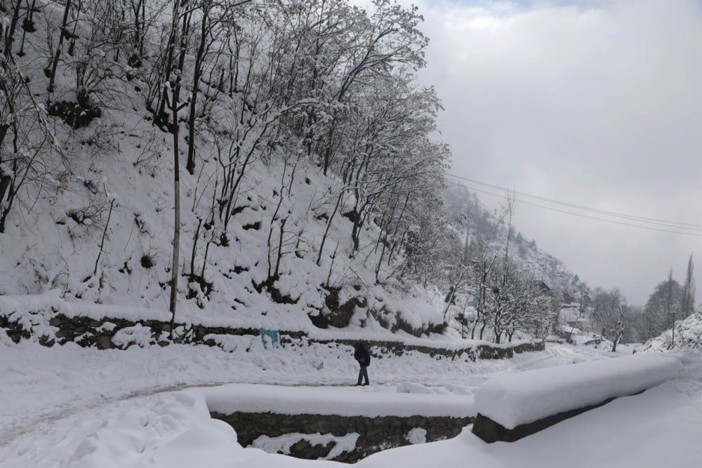 كشمير (1) كشمير (1)