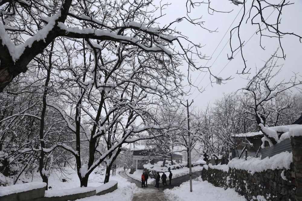 كشمير (17) كشمير (17)