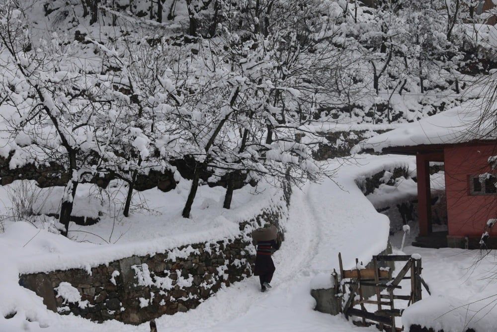 كشمير (6) كشمير (6)