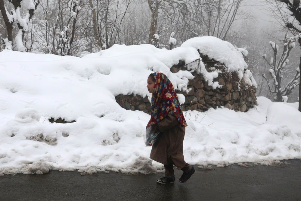 كشمير (16) كشمير (16)