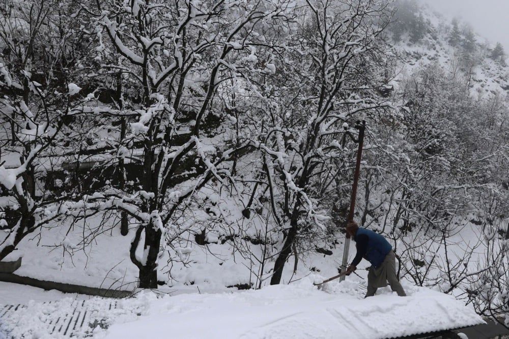 كشمير (8) كشمير (8)