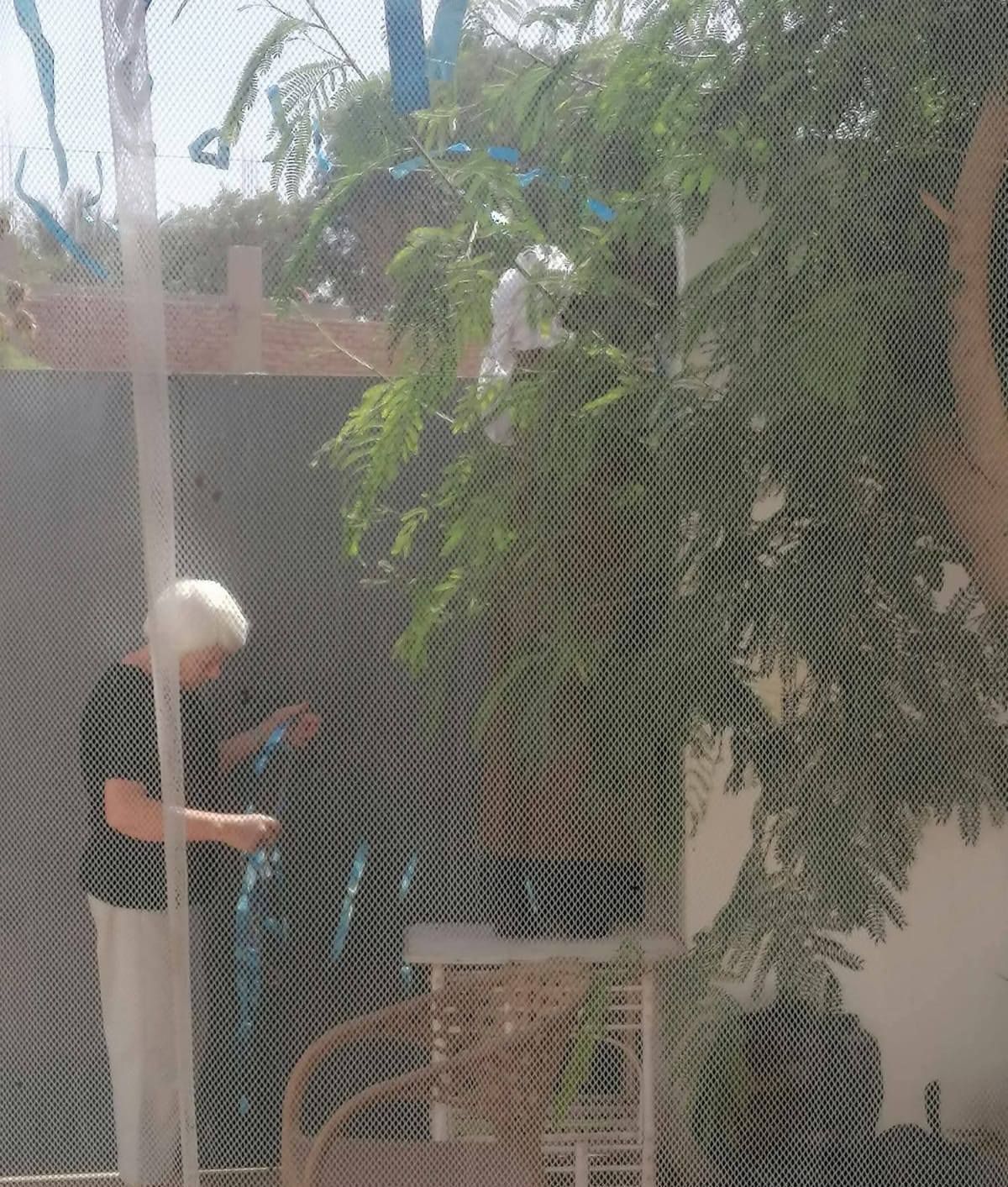 سائحة بلجيكية تعلق زينة رمضان بمنزلها فى البر الغربي بالأقصر سائحة بلجيكية تعلق زينة رمضان بمنزلها فى البر الغربي بالأقصر