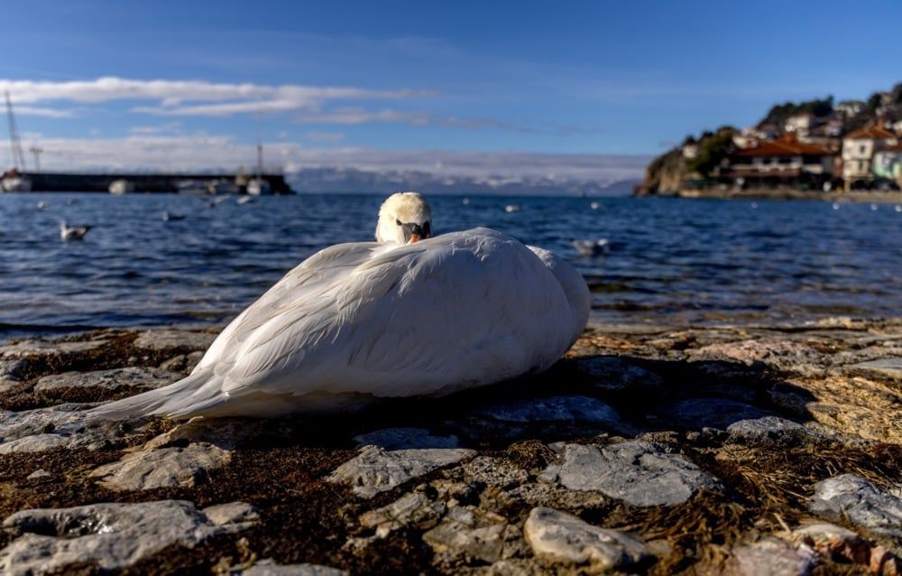 طقس شمال مقدونيا (9) طقس شمال مقدونيا (9)