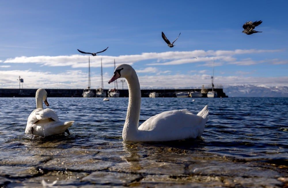 طقس شمال مقدونيا (1) طقس شمال مقدونيا (1)