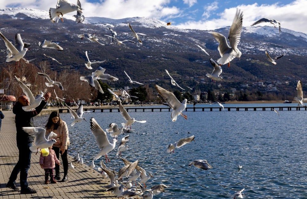 طقس شمال مقدونيا (5) طقس شمال مقدونيا (5)