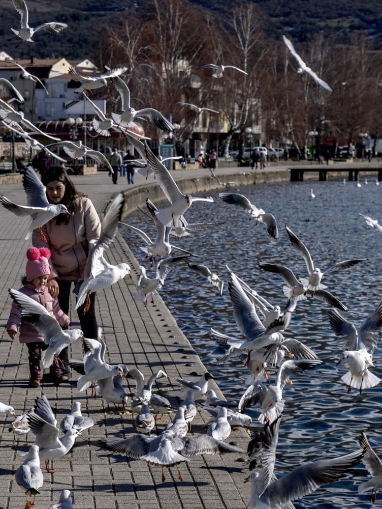 طقس شمال مقدونيا (4) طقس شمال مقدونيا (4)