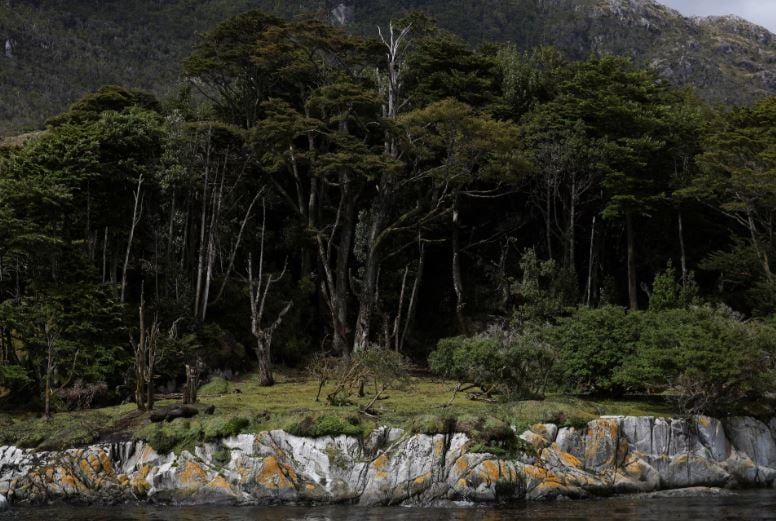 على حافة العالم.. الحديقة الوطنية فى تشيلي نقطة التقاء الأمريكتان بالقارة القطبية الجنوبية (7) على حافة العالم.. الحديقة الوطنية فى تشيلي نقطة التقاء الأمريكتان بالقارة القطبية الجنوبية (7)