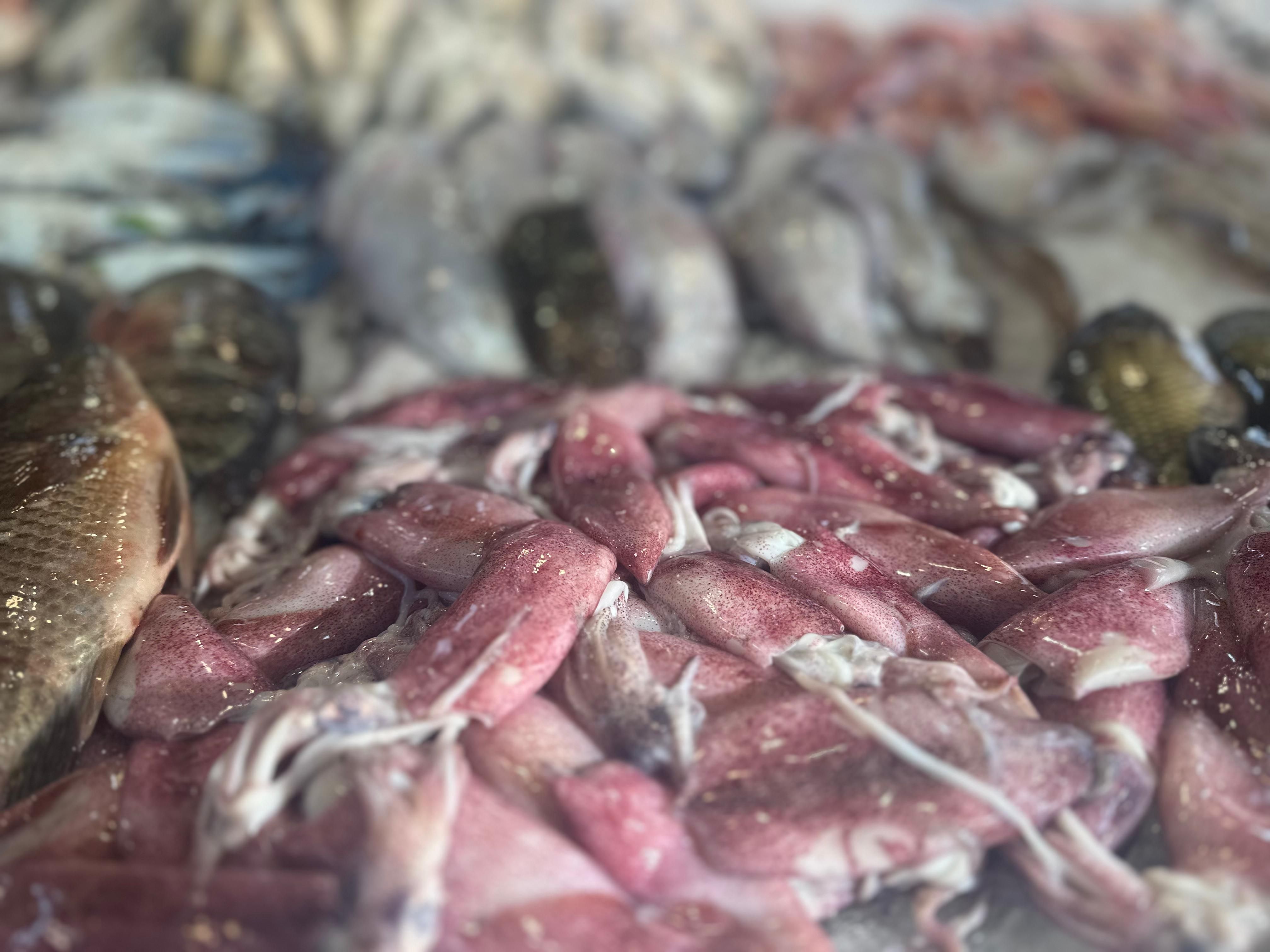 كاليماري كاليماري