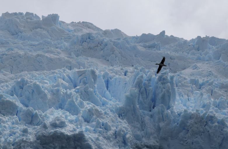 على حافة العالم.. الحديقة الوطنية فى تشيلي نقطة التقاء الأمريكتان بالقارة القطبية الجنوبية (3) على حافة العالم.. الحديقة الوطنية فى تشيلي نقطة التقاء الأمريكتان بالقارة القطبية الجنوبية (3)