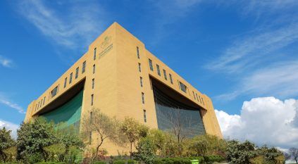 البلديات والإسكان: نقلات تنظيمية وتمكينية نوعية في ملف الباعة الجائلين خلال 2025