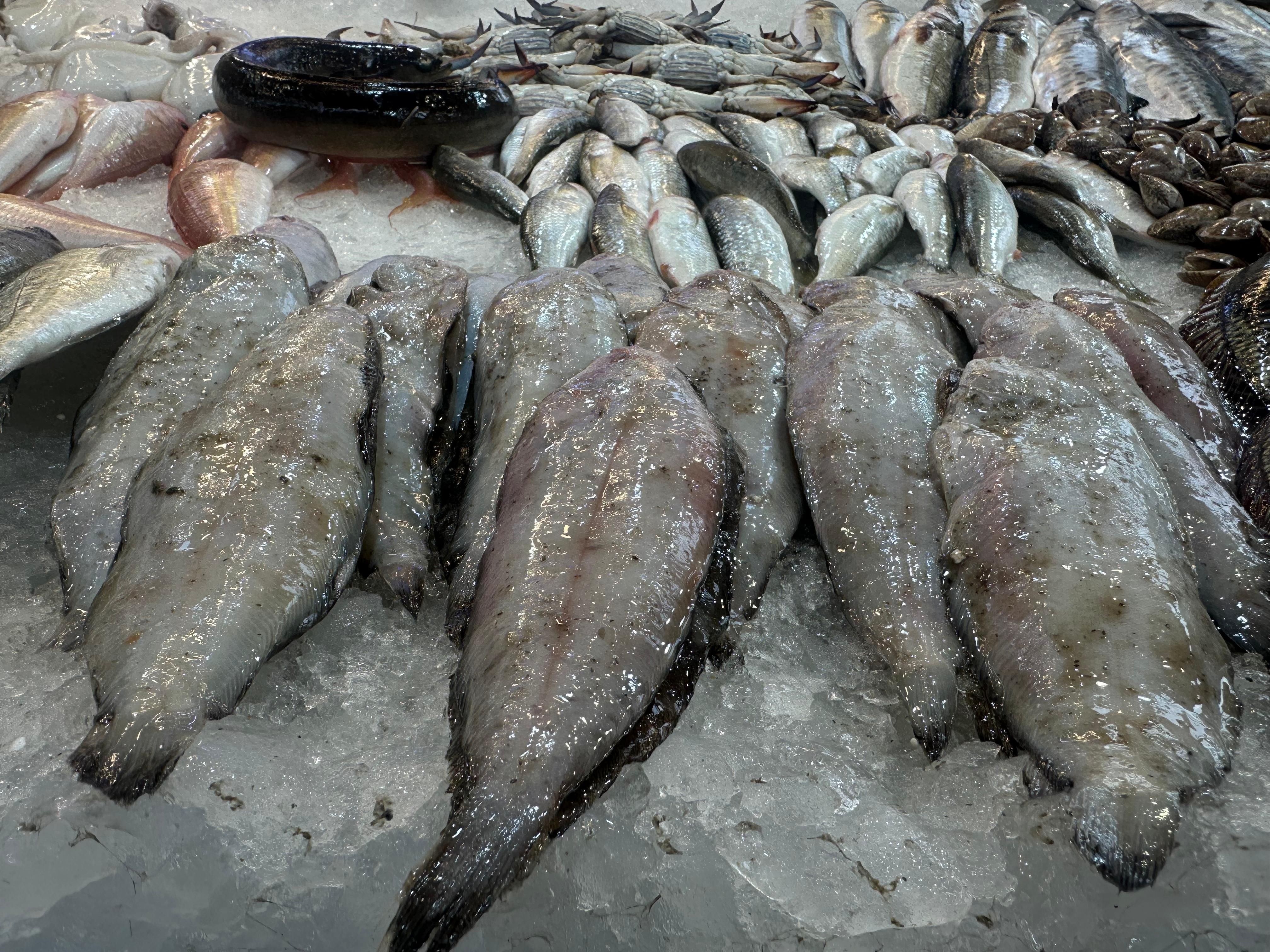 غطيان غطيان