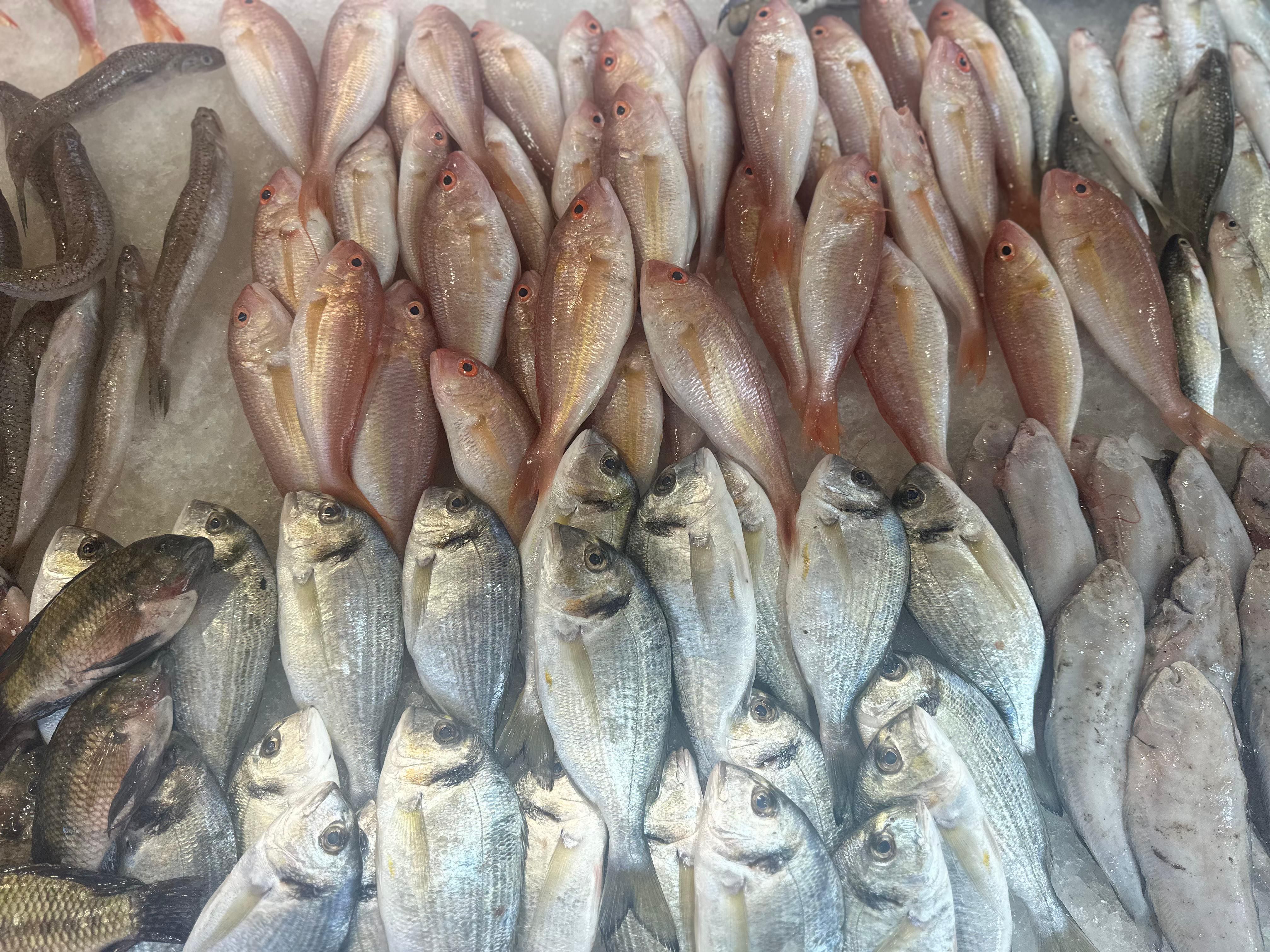 دنيس وبربوني دنيس وبربوني