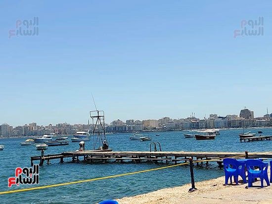 لسان-خشبى-لصيد-السنارة لسان-خشبى-لصيد-السنارة