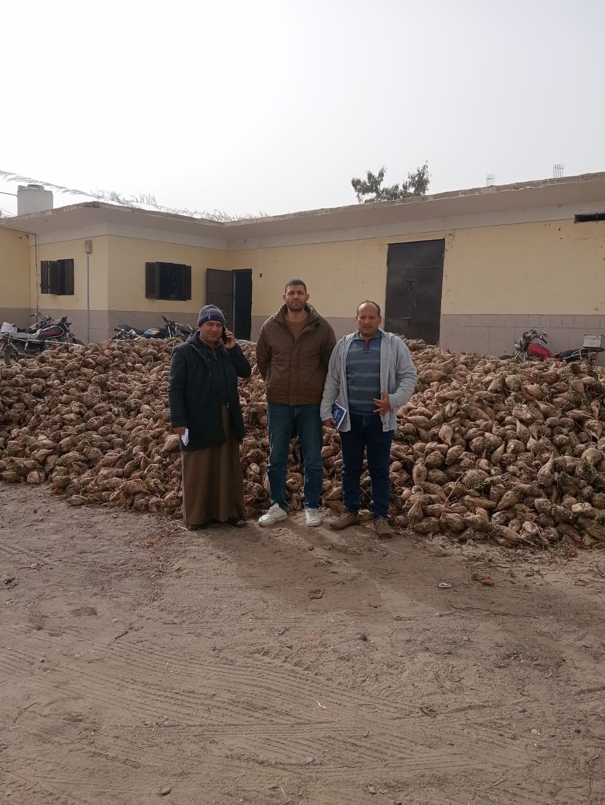 المهندس محمد عكرم مدير ادارة منشاة ابو عمر الزراعية، وفرحة الحصاد المهندس محمد عكرم مدير ادارة منشاة ابو عمر الزراعية، وفرحة الحصاد