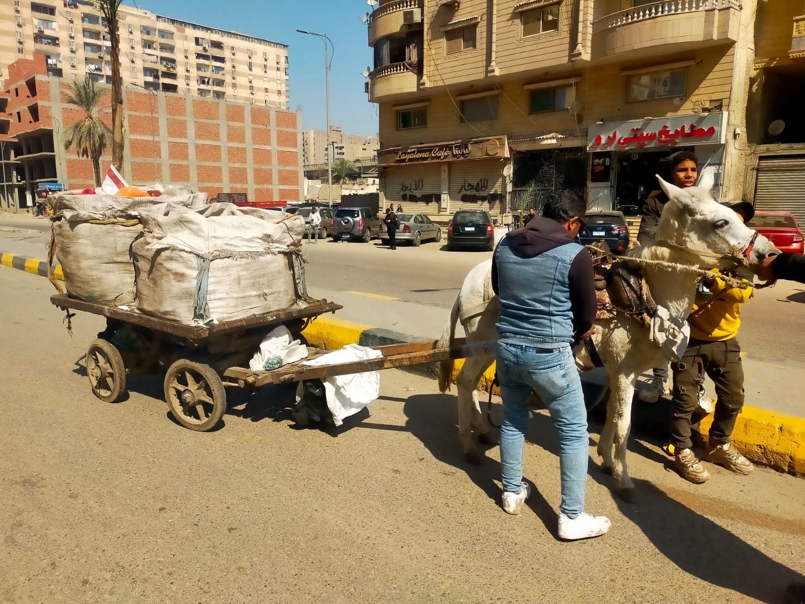 ضبط 24 عربة كارو وتروسيكل ضبط 24 عربة كارو وتروسيكل