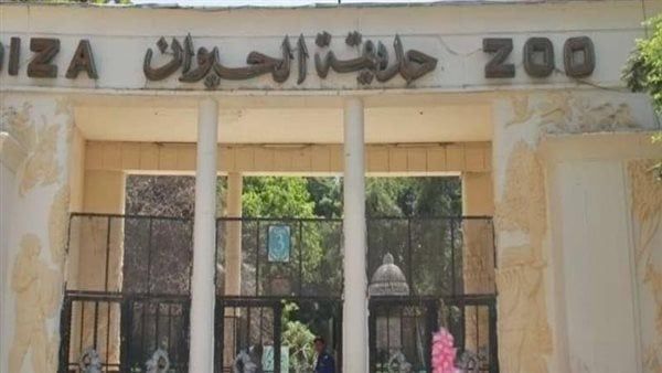 حديقة الحيوان مستمرة في استقبال زوارها لحين انتهاء التعاقد على تطويرها