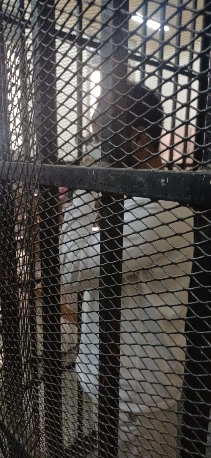 WhatsApp Image 2026-02-26 at 2.12.55 PM (1) WhatsApp Image 2026-02-26 at 2.12.55 PM (1)