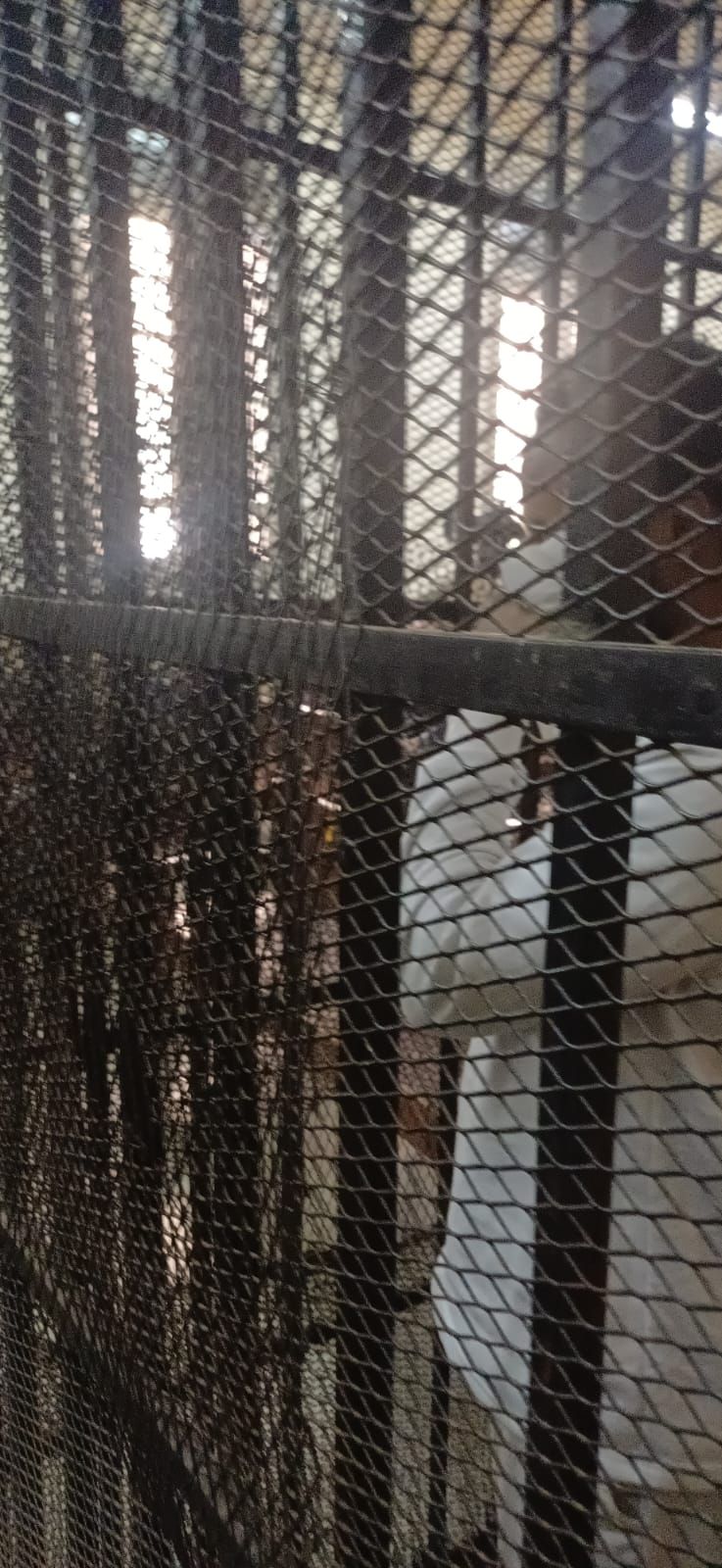 WhatsApp Image 2026-02-26 at 2.12.55 PM WhatsApp Image 2026-02-26 at 2.12.55 PM