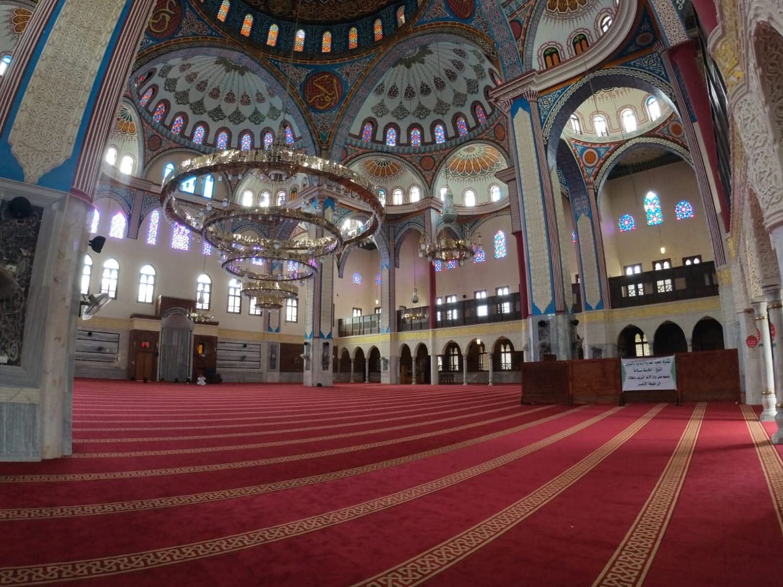 1000663077 1000663077