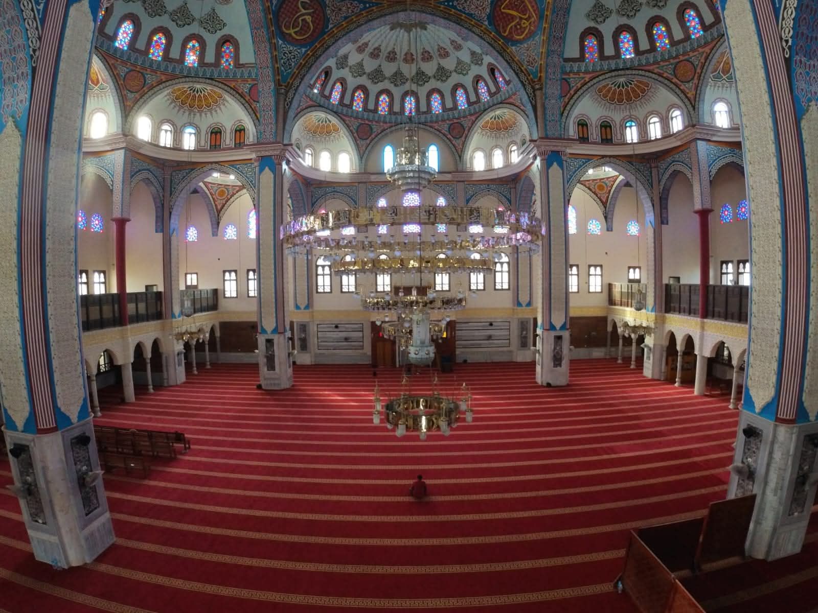 1000663067 1000663067