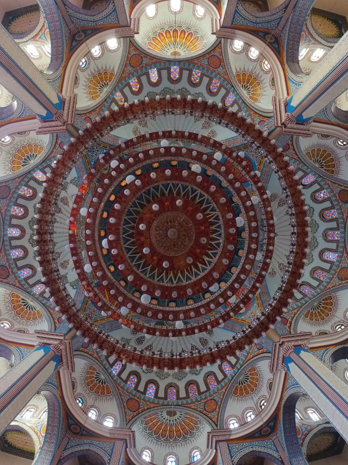 1000663071 1000663071