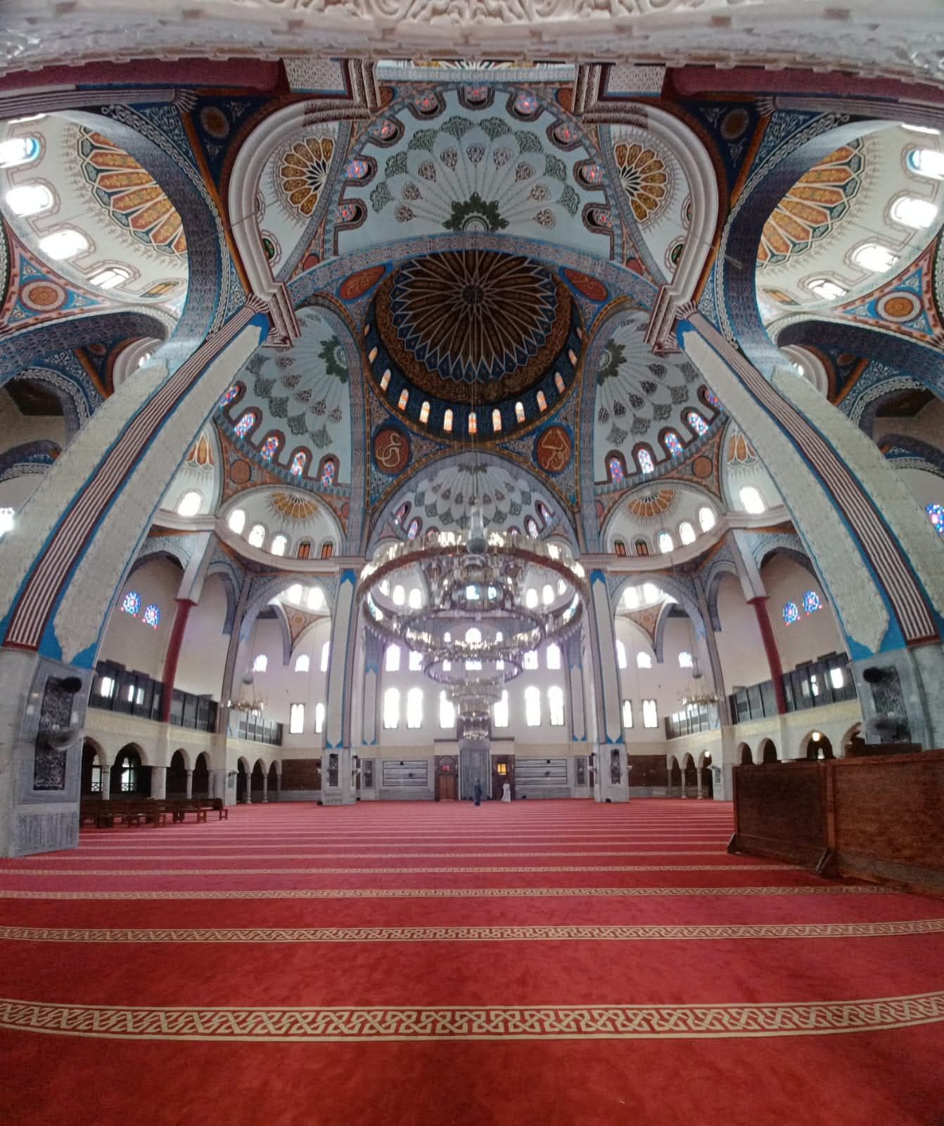 1000663076 1000663076