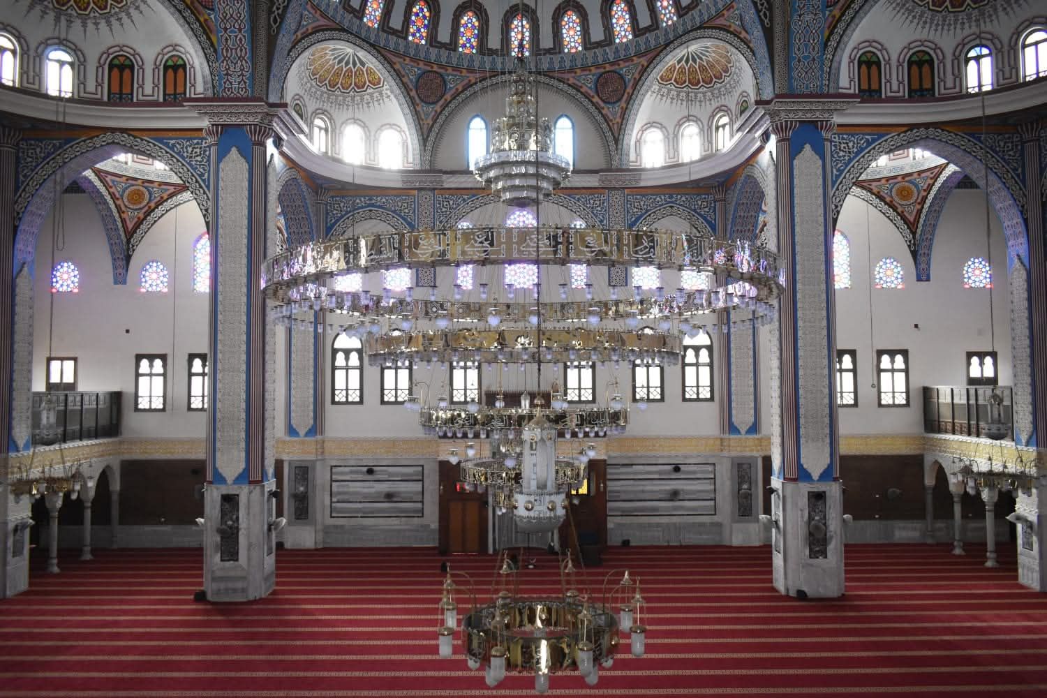 1000663068 1000663068