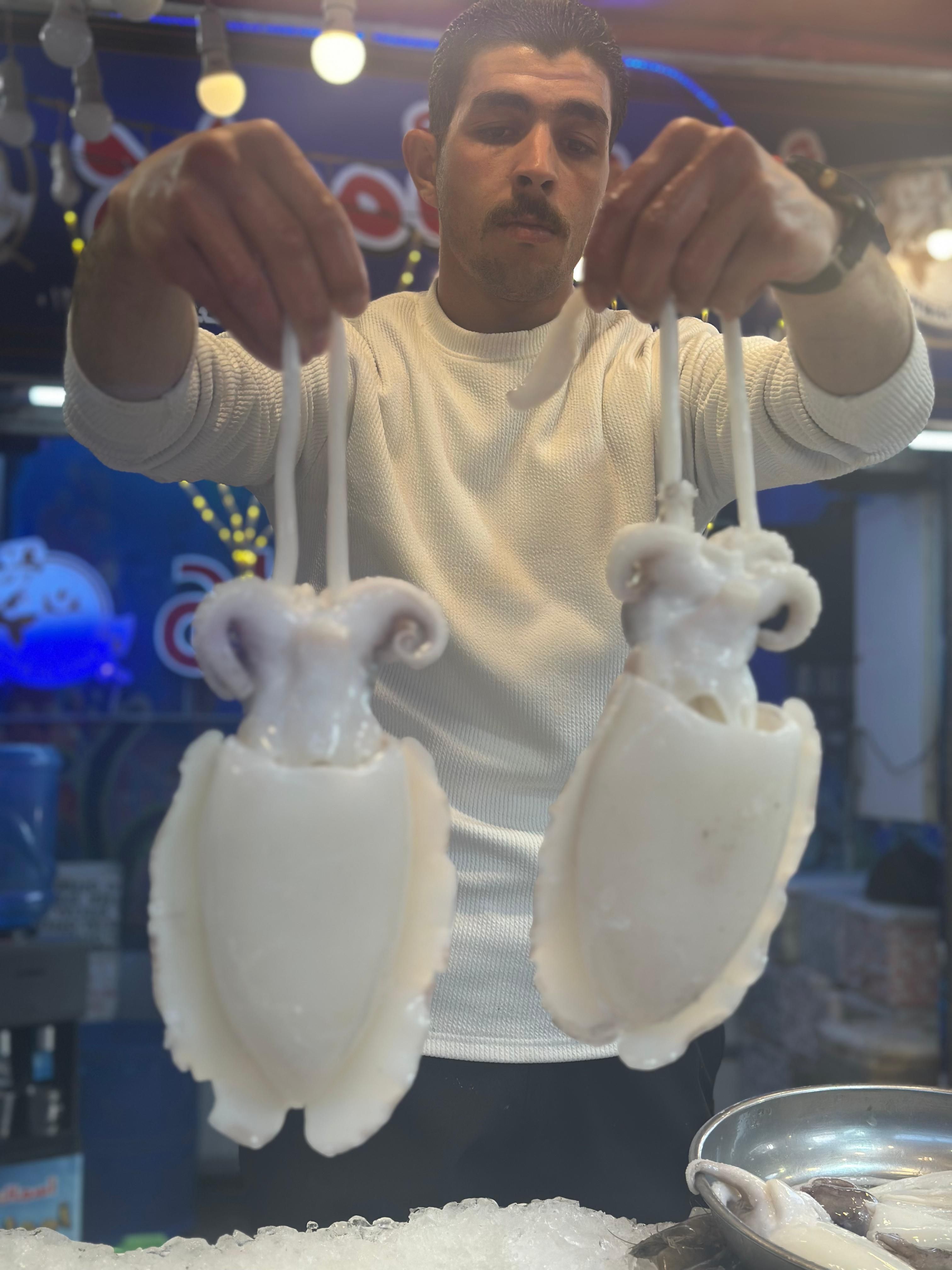 سيبيا سيبيا